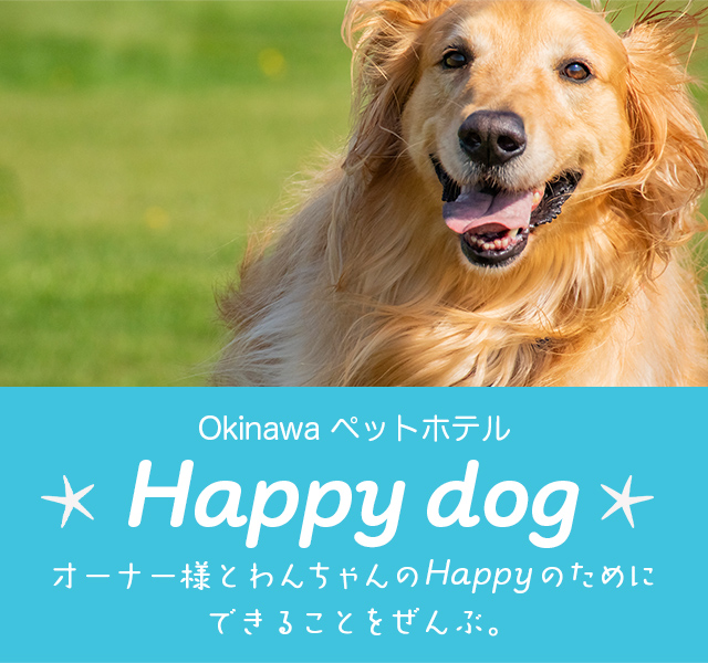 tint sterk Kwaadaardige tumor 沖縄県うるま市のHappy dog｜すべてのわんちゃんをHappyに